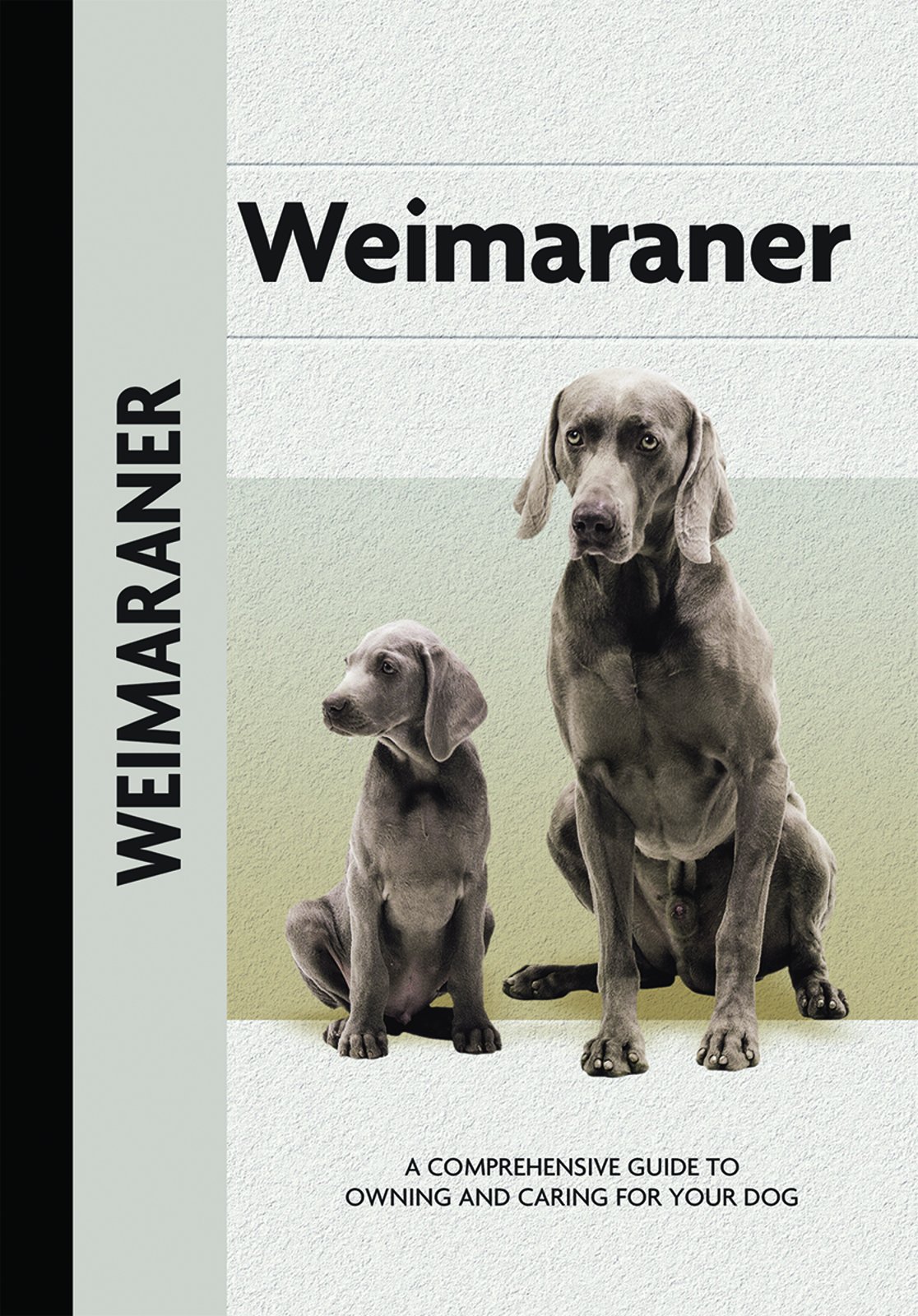 owning a weimaraner