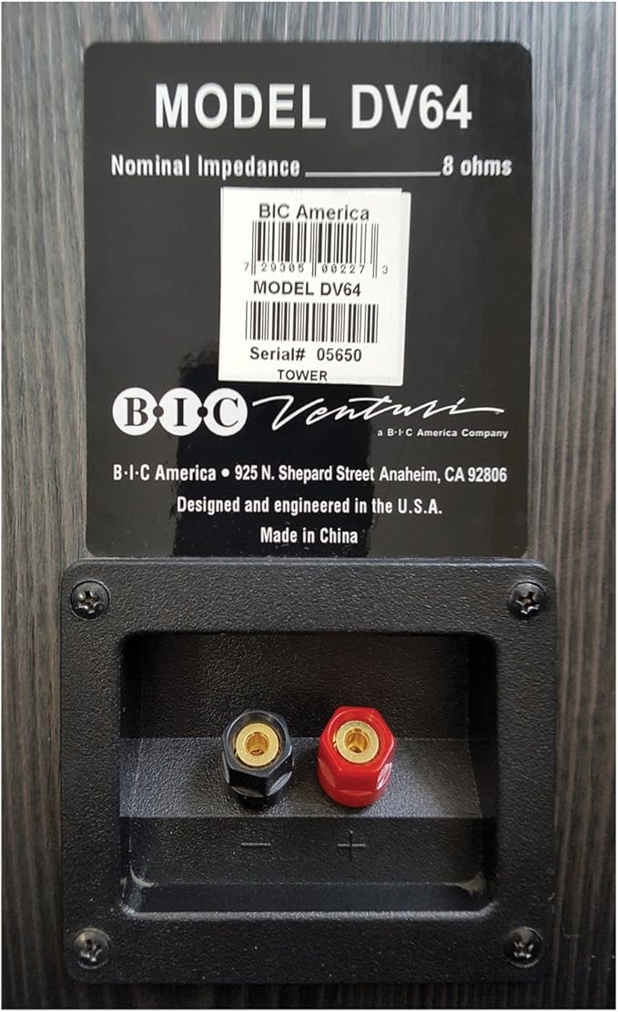 bic dv64