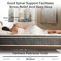 Ablyea Queen Mattresses 12 Inch Hybrid Mattress in