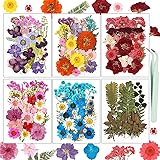 Dried Flowers, Resiners 174Pcs Pressed Flowers for