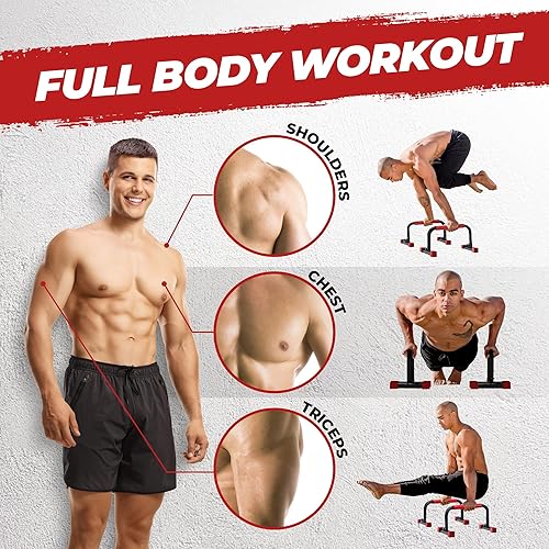 Rubberbanditz Parallette, Parallel Bars Dip Station At Home