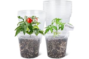 GREANER 6 Inch Nursery Pots, 15 Packs Clear Seeding Pots, Reinforced Plastic Nursery Pots with Drainage Holes, Transparent Ga