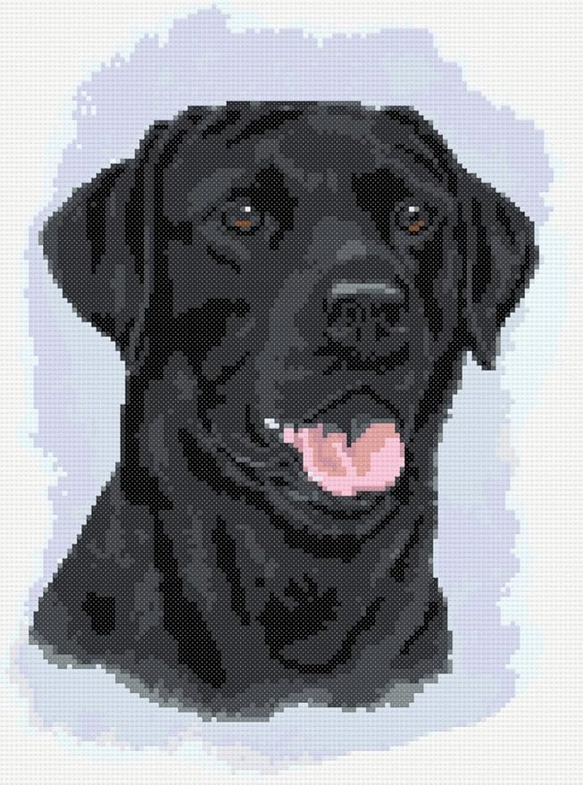 Black labrador dog (no 2) cross stitch kit: Amazon.co.uk: Kitchen & Home
