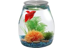 Koller Products 2-Gallon Fish Tank, Ultra Clear Impact-Resistant Plastic Aquarium for Betta/Nano/Goldfish/Snail/Shrimp, Safe for Freshwater, Desktop Fish Tank for Home Décor, 10" x 9" x 9"