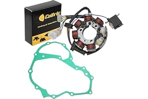Caltric Stator and Gasket Compatible With Honda Trx250Tm Trx250Te Recon 250 2002-2004