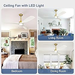 BvenuBigLite Modern Ceiling Fan with Light: White