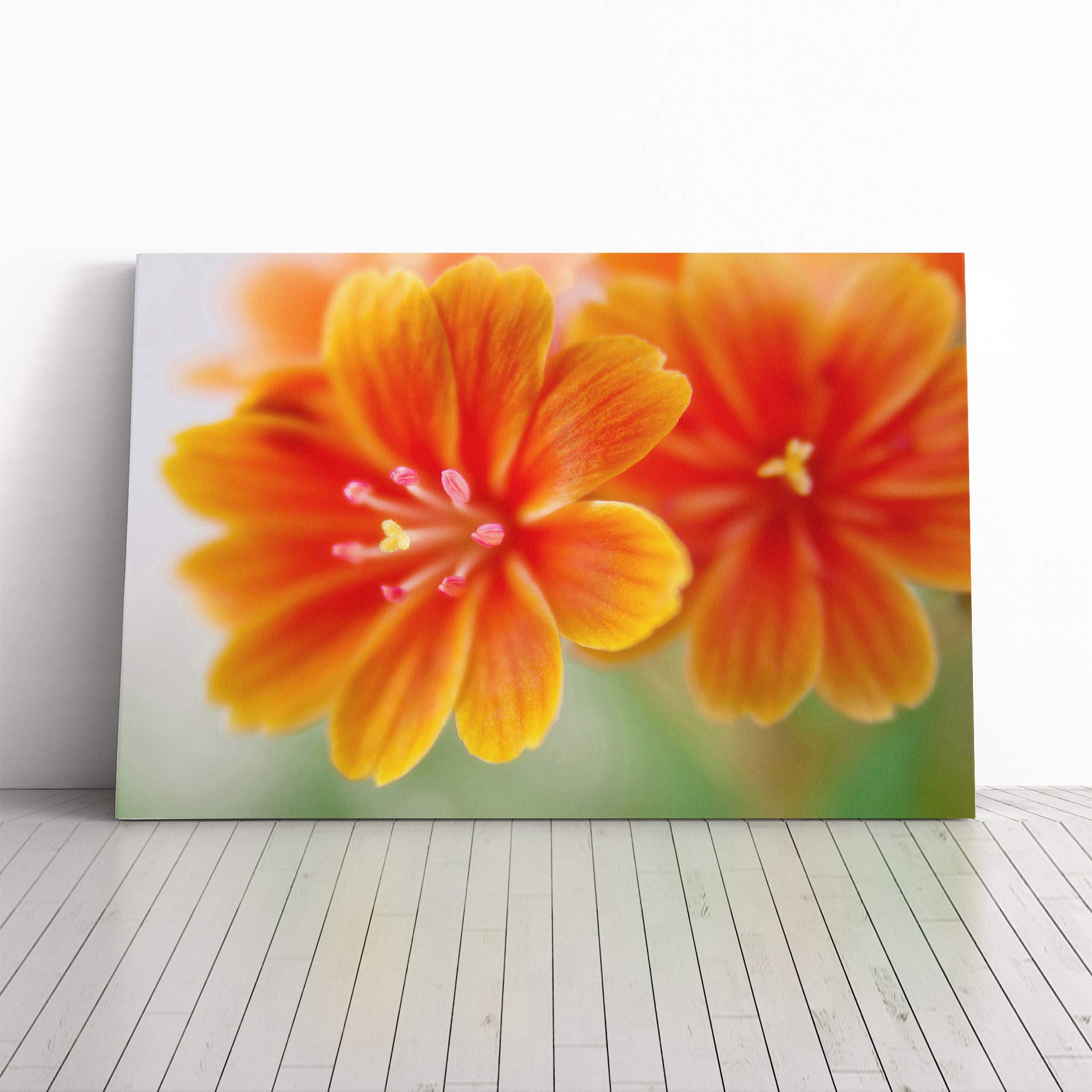 Orange Flowers Canvas Print | Gallery Wrapped 30mm Frame Wall Art | 20x14 inches | Ready to Hang | Modern Floral Picture | Living Room Bedroom Lounge Office