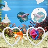 KCMOSGI 2 Pcs Betta Fish Exercise Love Ring &amp; Betta Mirror, Betta Enrichment Toys, Betta Fish Tank Accessories, Betta Fish Toysfor Training, Play