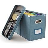 Oterri File Organizer Box with Lid, Hanging Filing