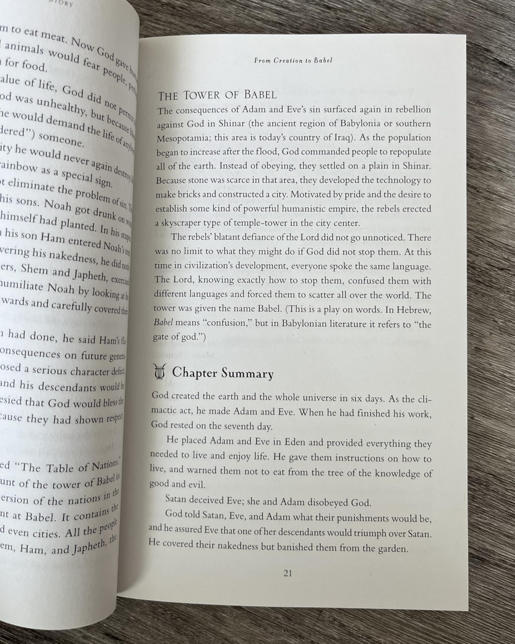 The Whole Bible Story: Everything That Happens in the Bible in Plain English (A Chronological Recap for Understanding the Bible―Stories of the Bible and Bible Study for Adults)