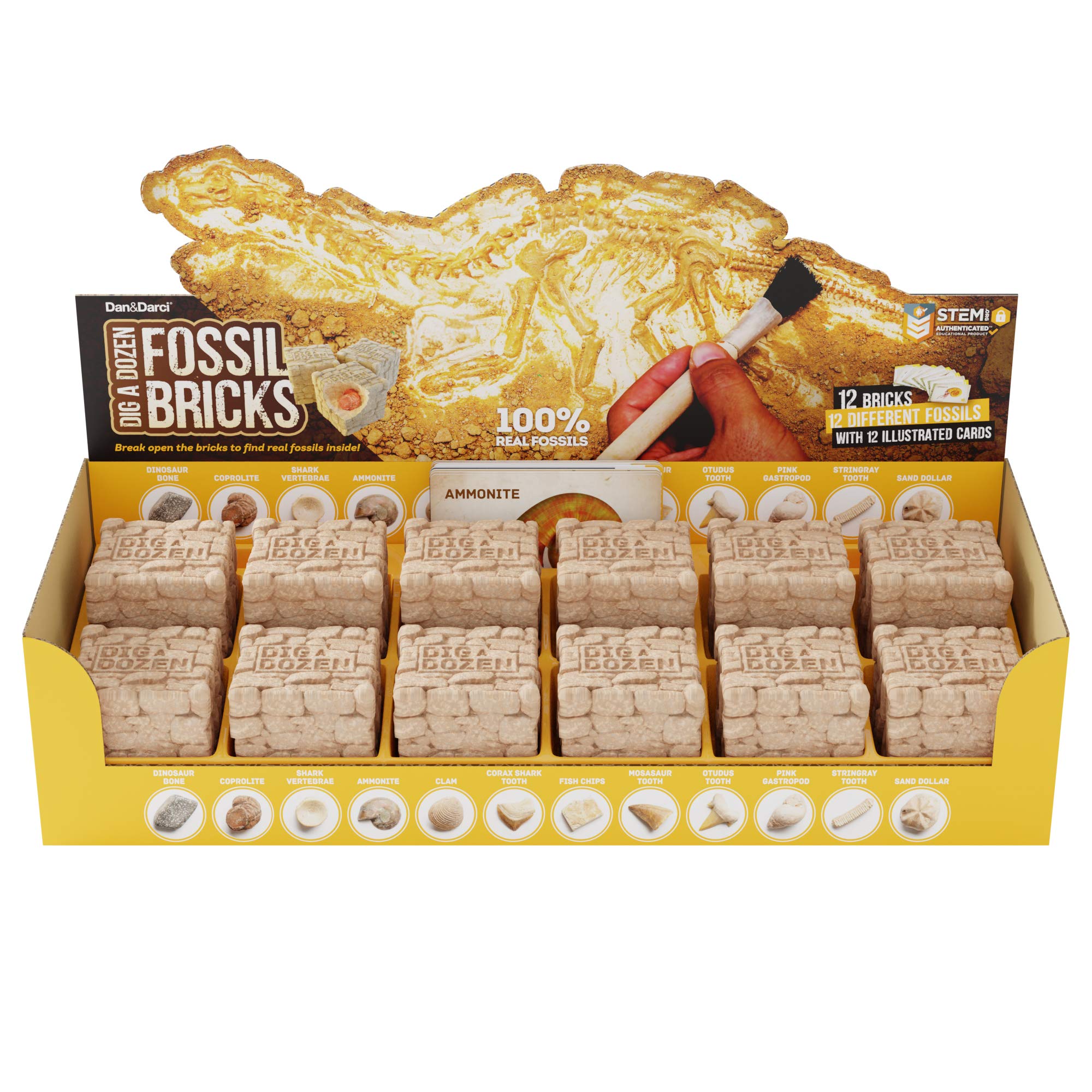 Dan&Darci Dig a Dozen Fossil Bricks - Break Open 12 Blocks and Discover 12 Unique Real Fossils - Basket Stuffers Archaeology Science STEM - Birthday Gift