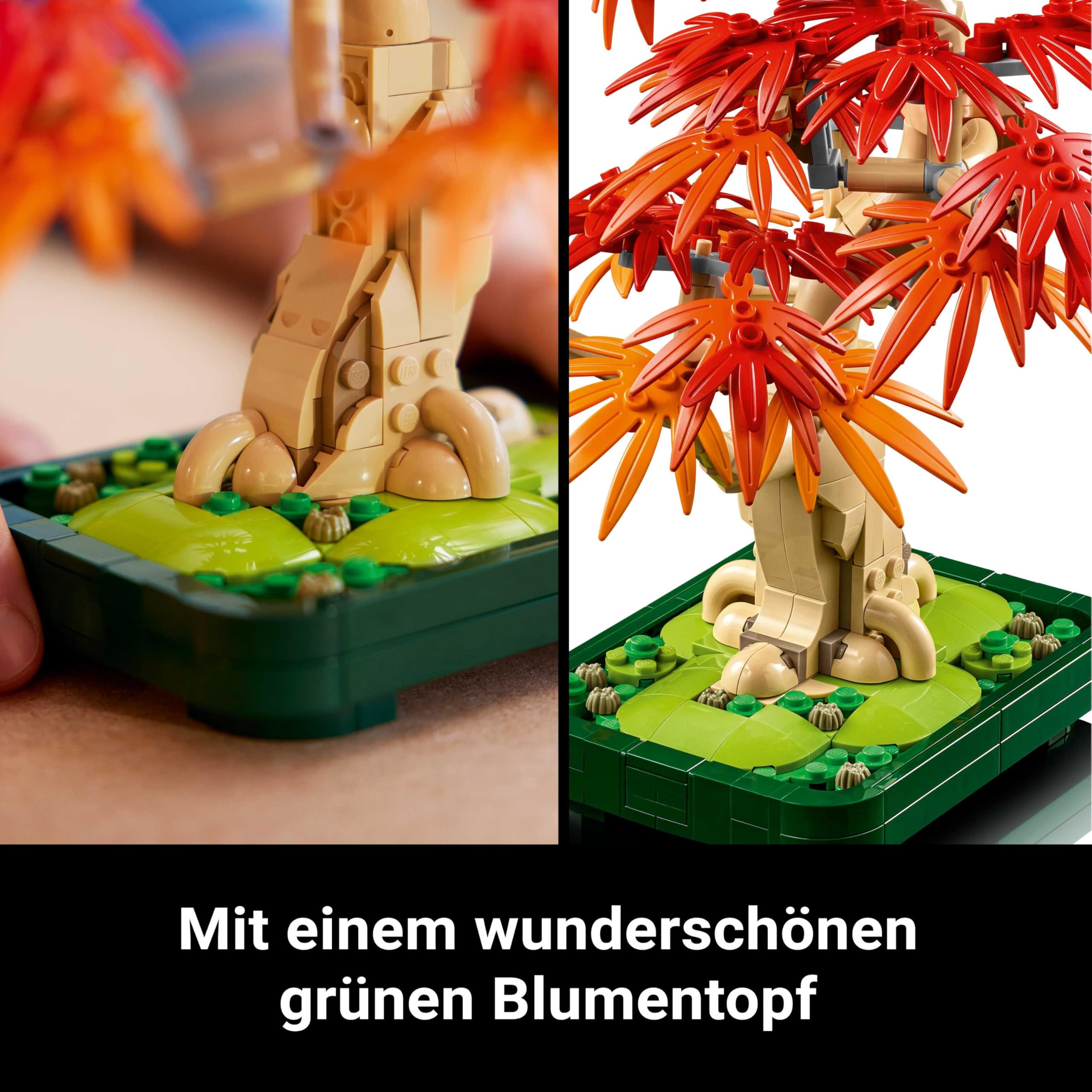 LEGO Botanicals Japanischer Roter Ahorn - Bonsai-Baum - Kunstpflanzen Set mit roten und orangefarbenen Blättern sowie einem baubaren Blumentopf - Kunstblumen DIY Deko Geschenk für Erwachsene - 10348 5
