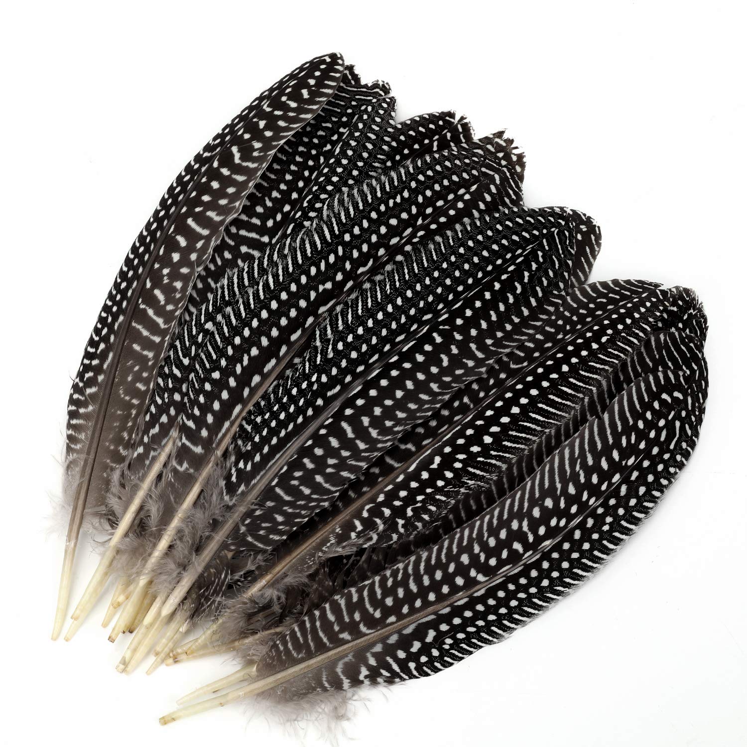 MWOOT 20pcs Natural Spotted Feather, Pheasant Plumage Feathers for Crafts DIY Jewelry, Clothing and Hat Decorations (6-8 Inches)