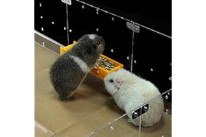 GuineaLoft™ Food Feeder Yellow - Say Goodbye to Traditional Bowls! Ultimate Feeder for Small Pets Like Guinea Pigs, Rabbits and Chinchillas. Designed & Made by Seasoned Owners - GuineaLoft Exclusive