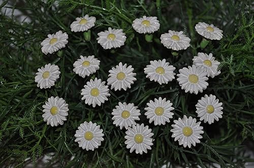 20 Keramikblumen: Gänseblümchen
