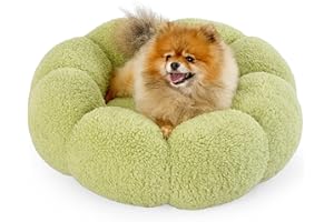 LE SURE Lesure Calming Small Dog Bed - Flower Donut Round Fluffy Puppy Bed in Plush Teddy Sherpa, Non-Slip Cute Flower Cat Beds for Indoor Cats, Small Pet Bed Fits up to 25 lbs, Machine Washable, Green 23"
