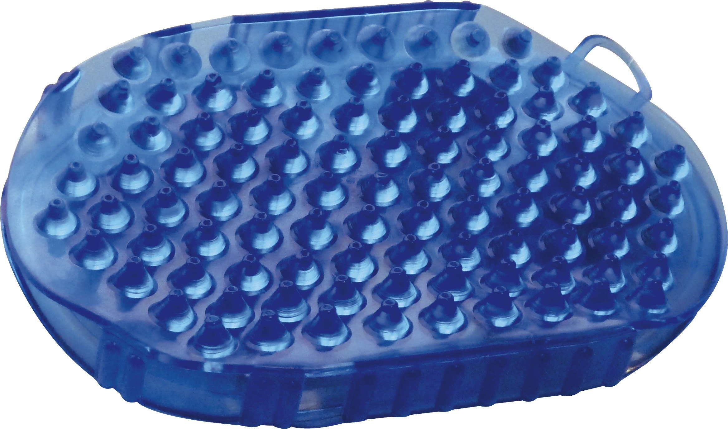 horizont 2 in 1 Cleaning Glove with Curry Comb, Royal Blue, PVC