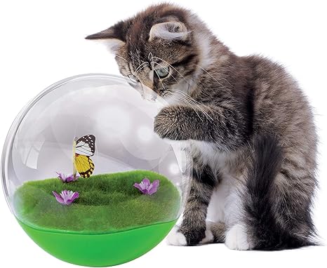 jackson galaxy space station