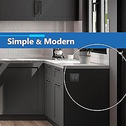 LIDER Brushed Finish Decorator Switch