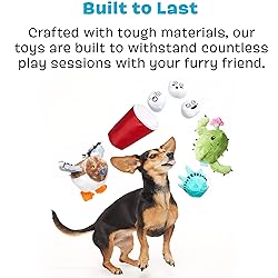 Barkbox 2 in 1 Interactive Plush Dog Toy - Rip and