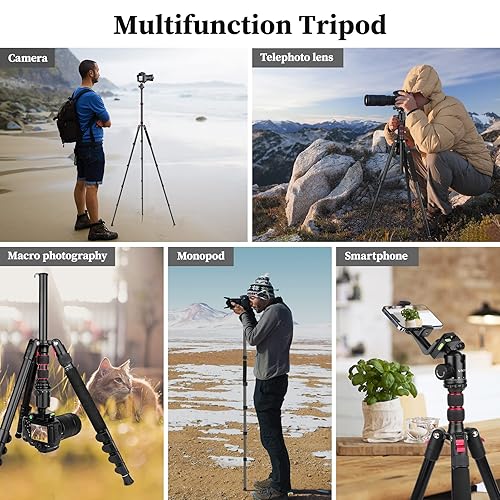 Professional Tripod for Camera, Victiv 81 inch Aluminium Compact