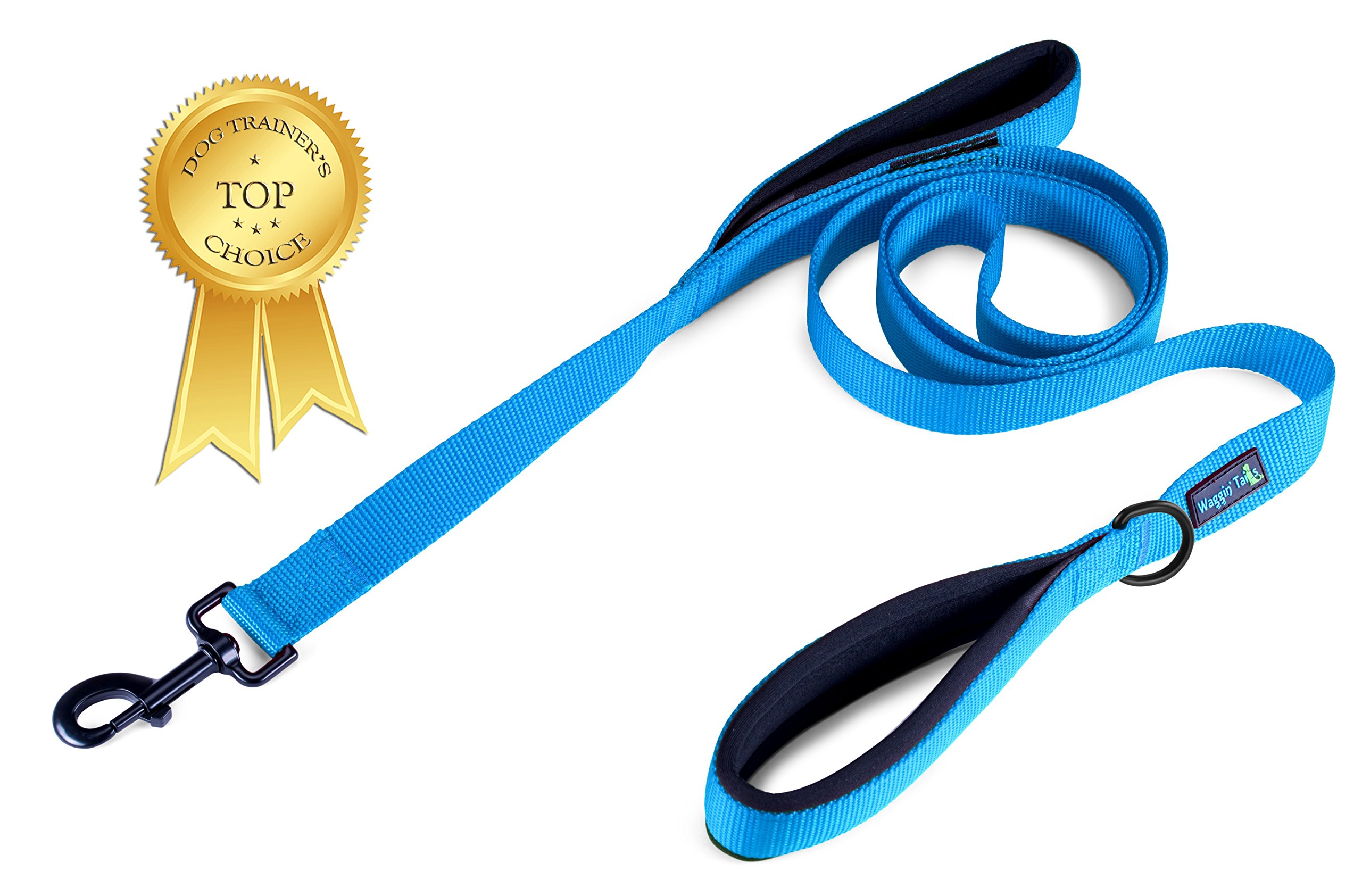 Soft Thick Dual Handle Dog Leash, Premium Nylon Double Neoprene Padded