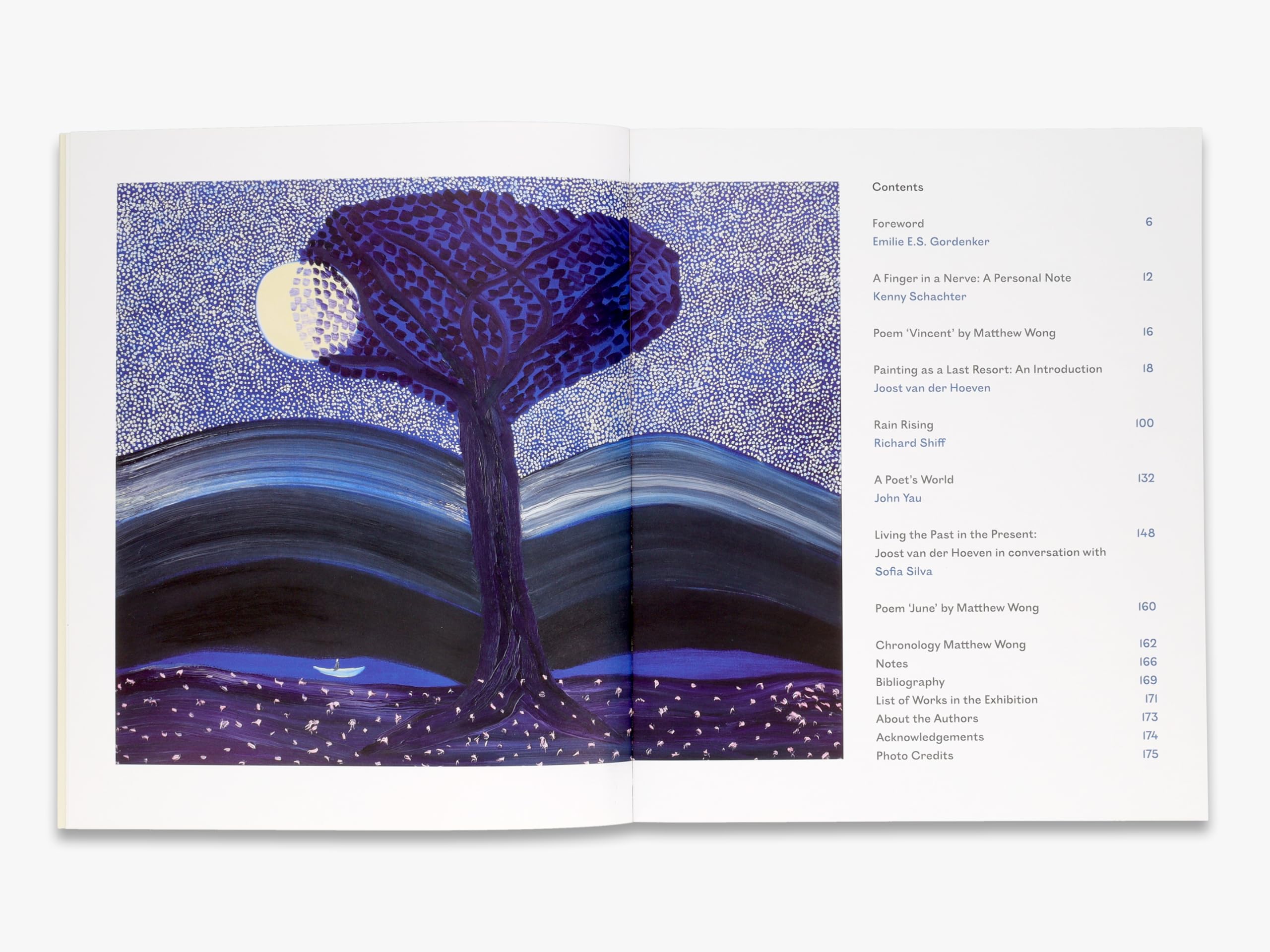 Matthew Wong - Vincent van Gogh: Painting as a Last Resort