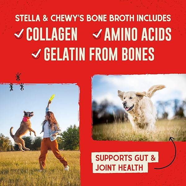 STELLA & CHEWY’S PREMIUM CAGE-FREE CHICKEN BONE BROTH FOR DOGS – JOINT & GUT HEALTH SUPPORT LIQUID FOOD TOPPER WITH COLLAGEN & TURMERIC, 16 FL OZ RESEALABLE POUCH