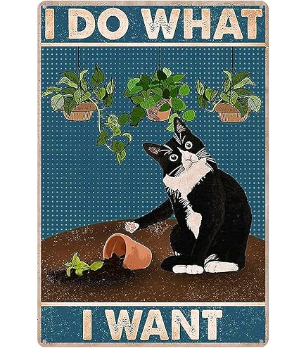 Retro Metal Tin Sign - 12 X 16 Inches Seven of Hearts Poster