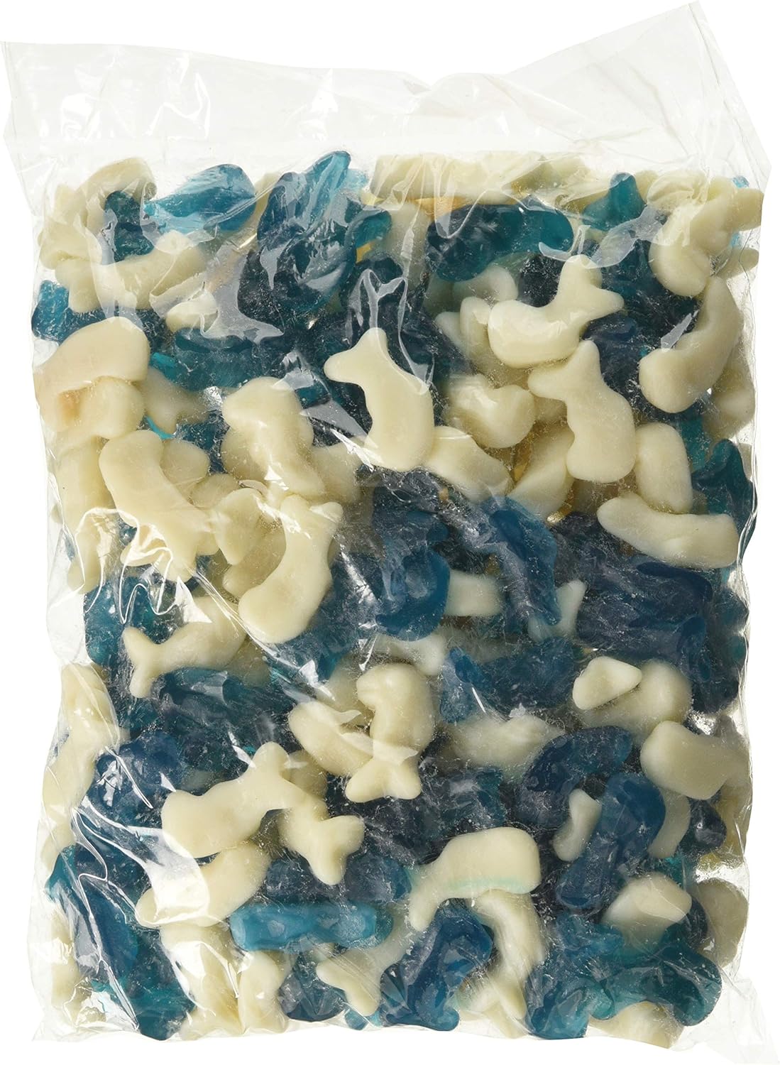 kingsway baby dolphins