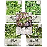 Seed Needs, Butterhead Lettuce Seeds for Planting
