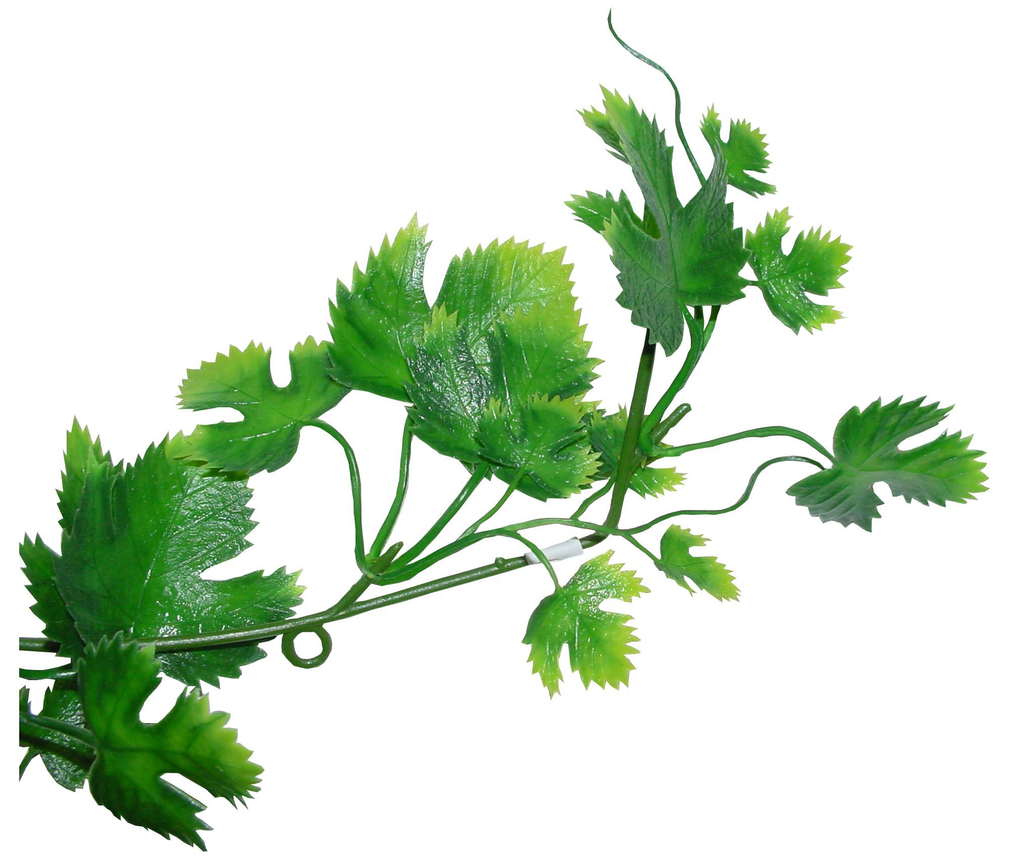 Lucky Reptile LP-73 Grape Leaf Vine