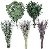120+ Pcs Mixed Dried Eucalyptus Stems &amp; Lavender Flowers for Shower | Preserved Eucalyptus Leaves for Wall Hanging, Plant Fragrance, Dried Florals for Vase Fillers, Wedding, Green Bathroom Decor