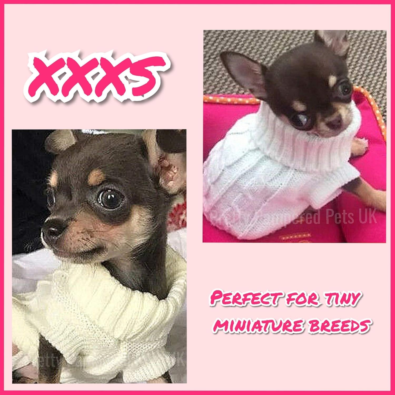 teacup chihuahua clothes amazon