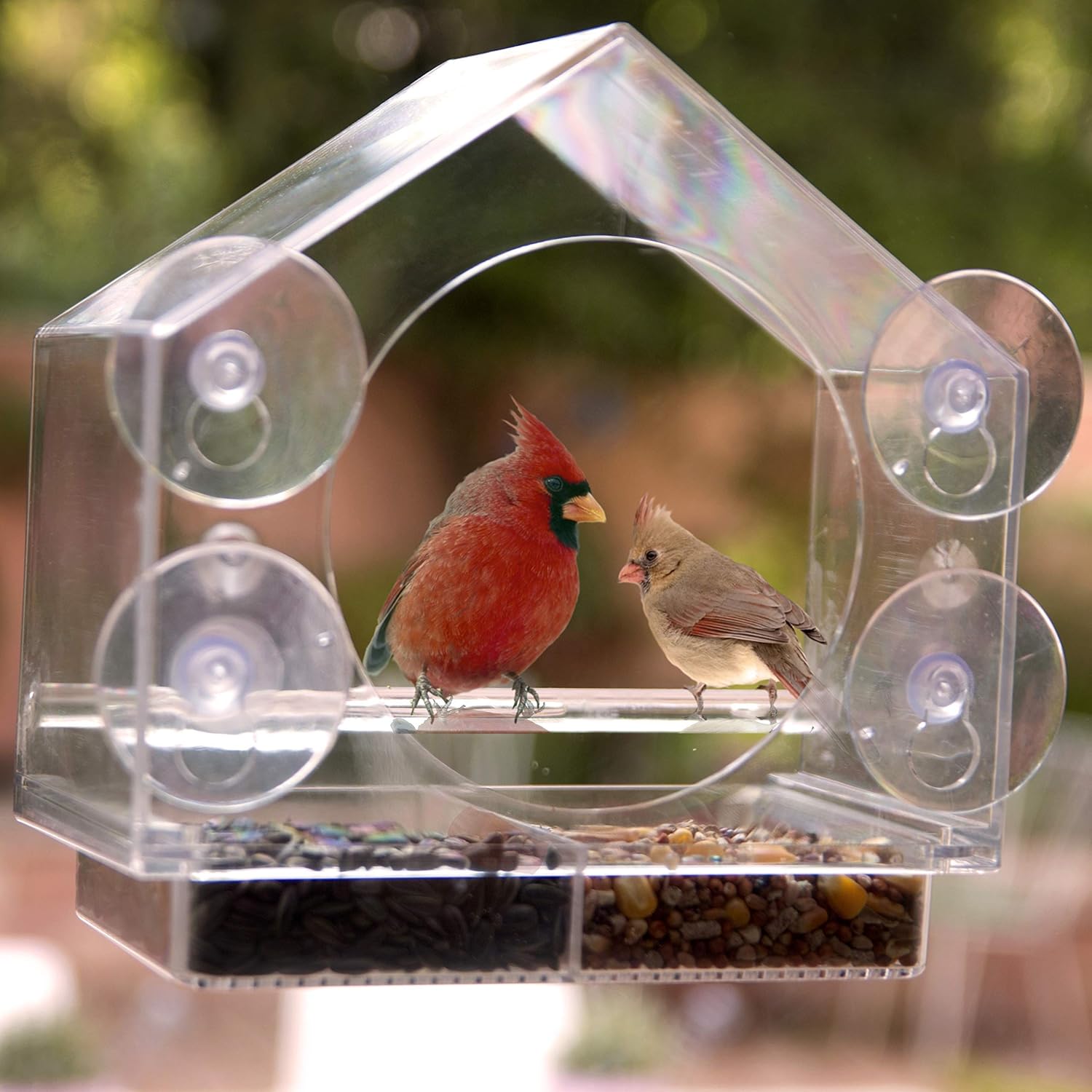 Nature Anywhere Window Bird House Feeder with Sliding Seed Holder and 4 Extra Strong Suction Cups. Large Outdoor Birdfeeders for Wild Birds. Birdhouse Shape. : Garden & Outdoor