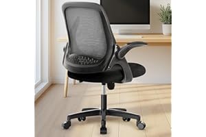 NEO CHAIR Office Desk Computer Gaming Ergonomic Chair with Lumbar Back Support Adjustable Height Swivel Wheels Flip-up Arms Mesh Chair for Home or Office (Black)