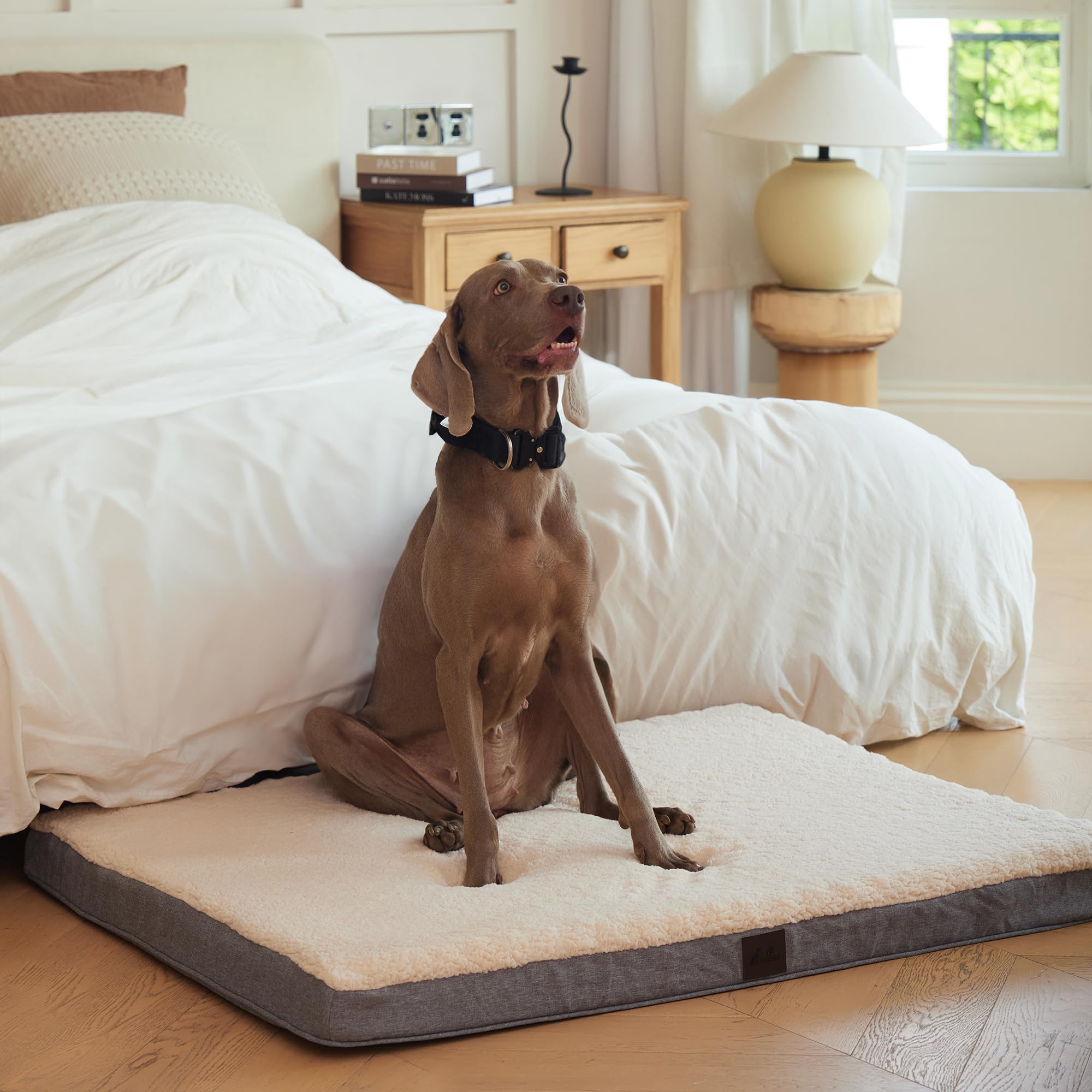 Photo 1 of DaysU Dog Bed for Extra Large Dogs, Orthopedic Dog Beds with Removable Washable Cover, XL Egg Crate Foam Pet Bed Mat, Grey, Suitable for Dogs Up to 100 Ibs, 44x32x3in