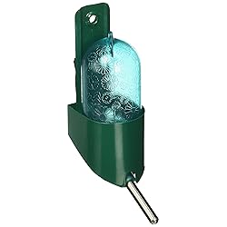 Best Rat Water Bottle