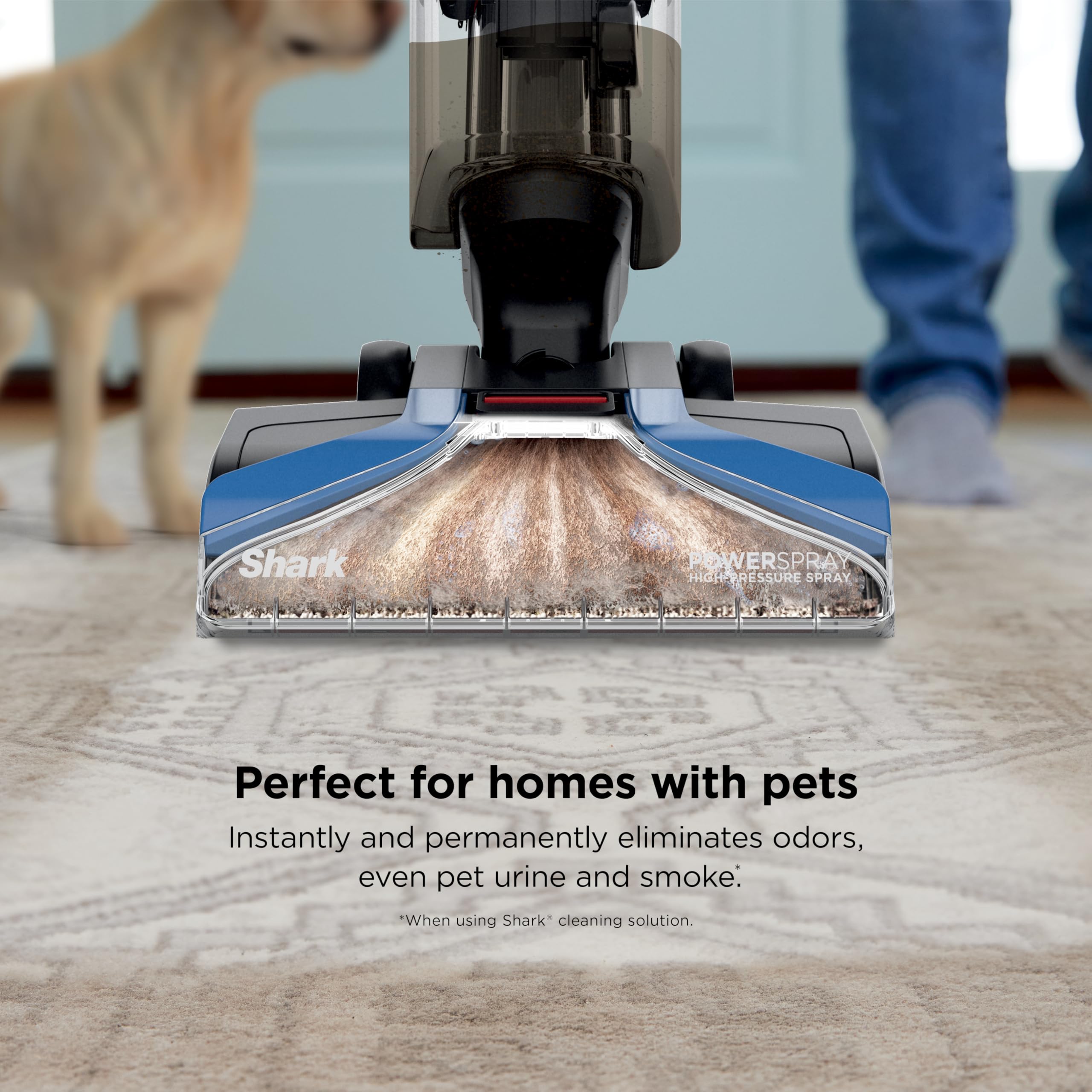 Shark CarpetXpert Upright Carpet & Area Rug Cleaner, Perfect for Pets, Lightweight & Powerful, Dirt, Grime, & Odor Removal, Carpet Shampooer, Cleaning Solution, Blue, EX121BRN