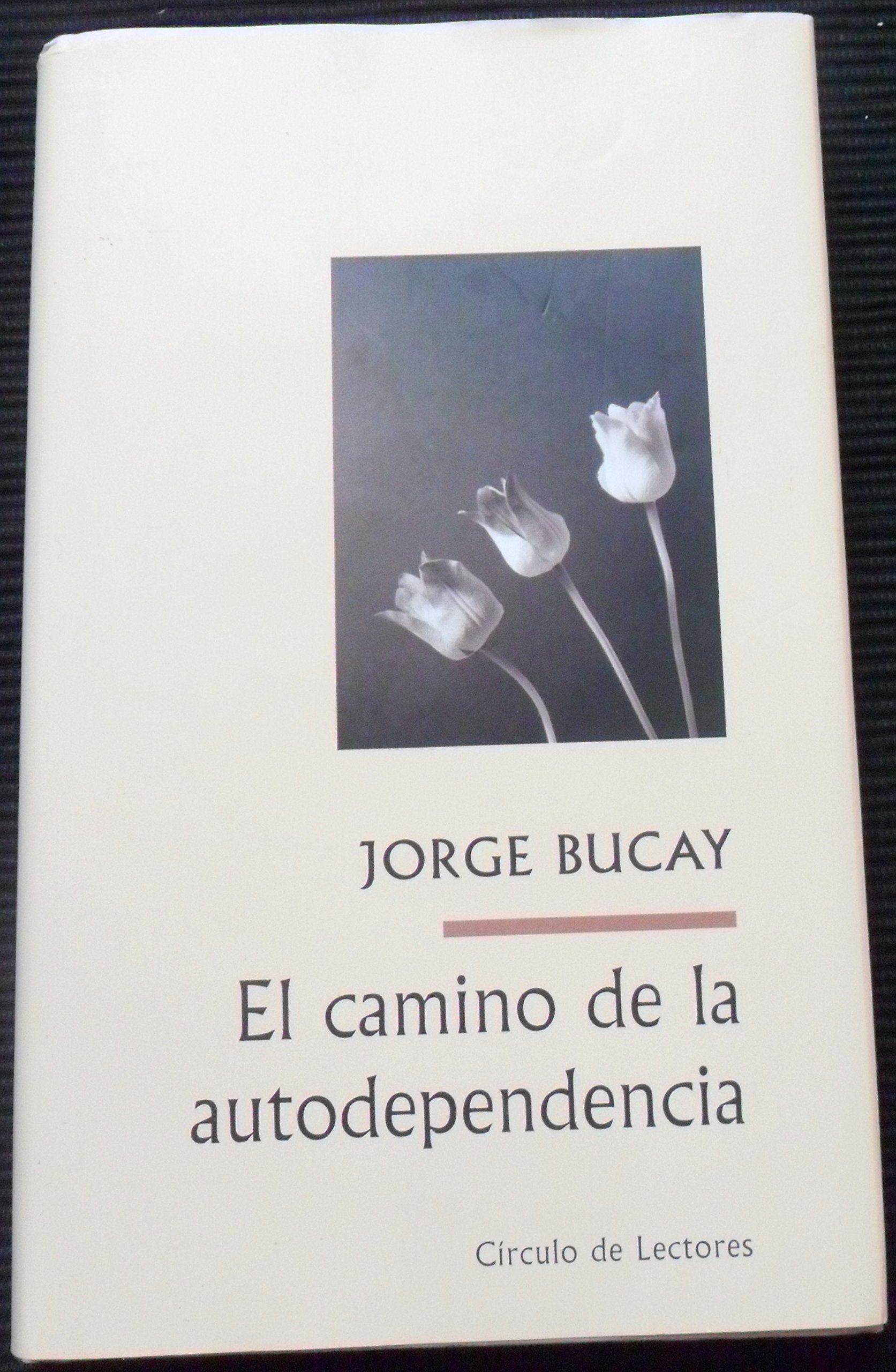 Portada de El Camino De La Autodependencia