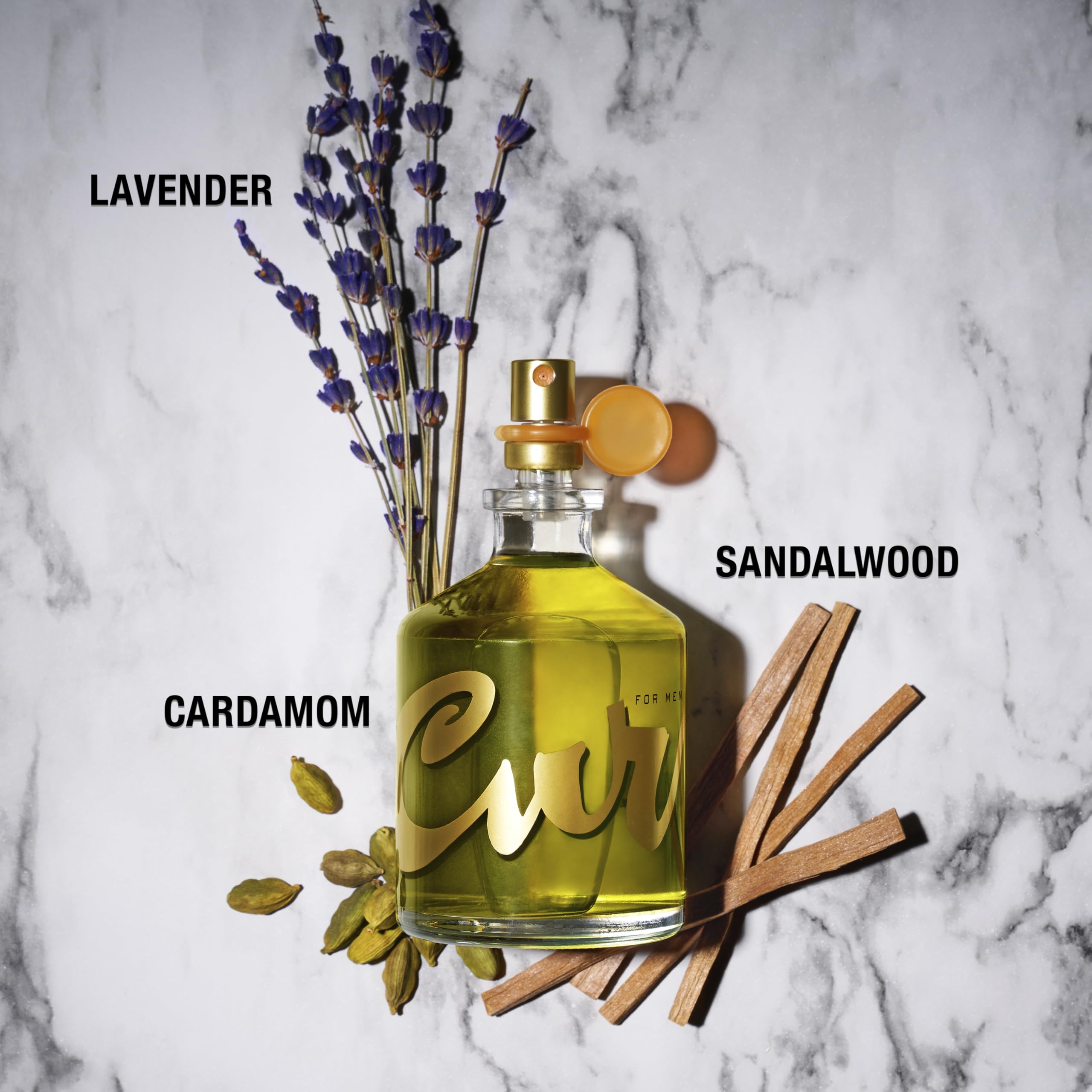 Curve for Men Cologne Spray, Gift for Him, Spicy Woody Magnetic Scent for Day or Night, 4.2 fl oz