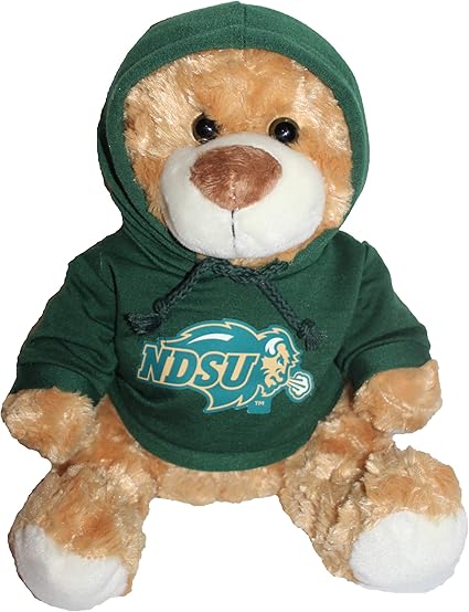 university bear sweatshirt