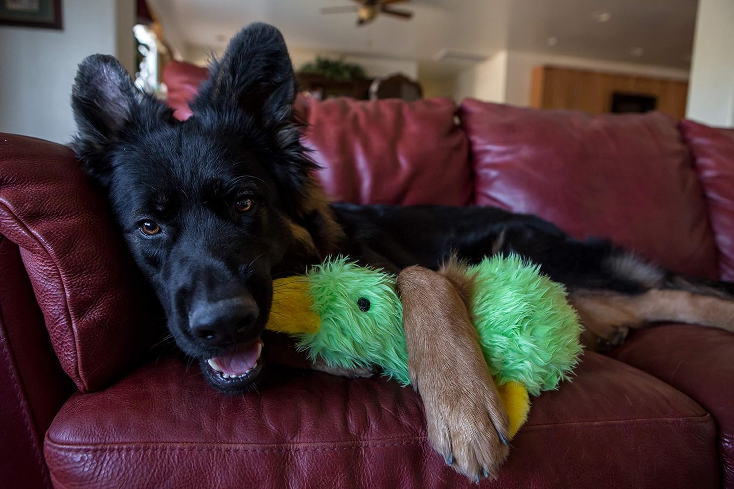 Multipet Duckworth Plush Dog Toy 13"- Assorted Colors: Pet Supplies