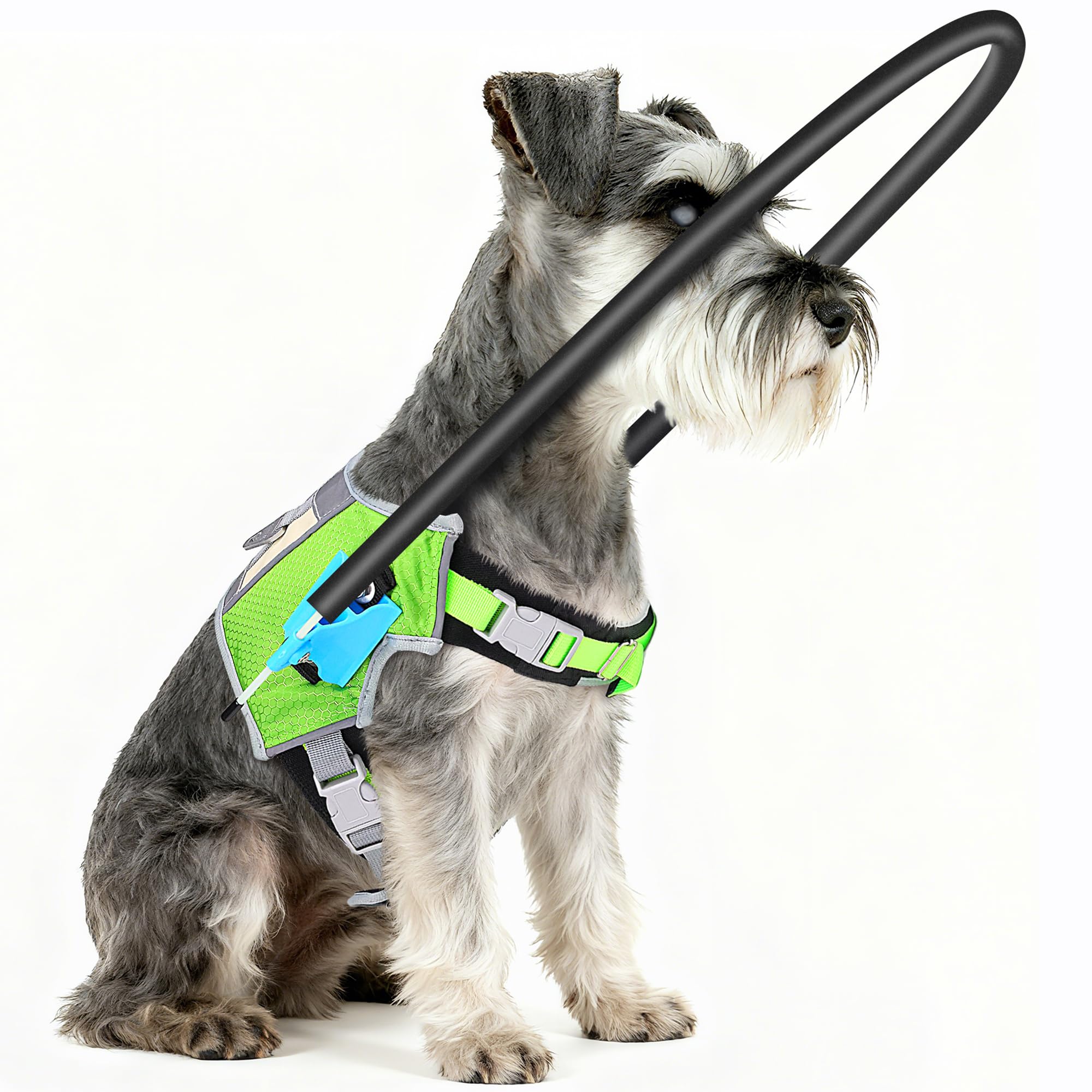 Photo 1 of LetPetRun Halo Harness for Blind Dogs, Adjustable Safety Halo with Reflective Straps,Confidence Support Collar for Visually Impaired Pets,Blind Dog Navigation Aid (XS)