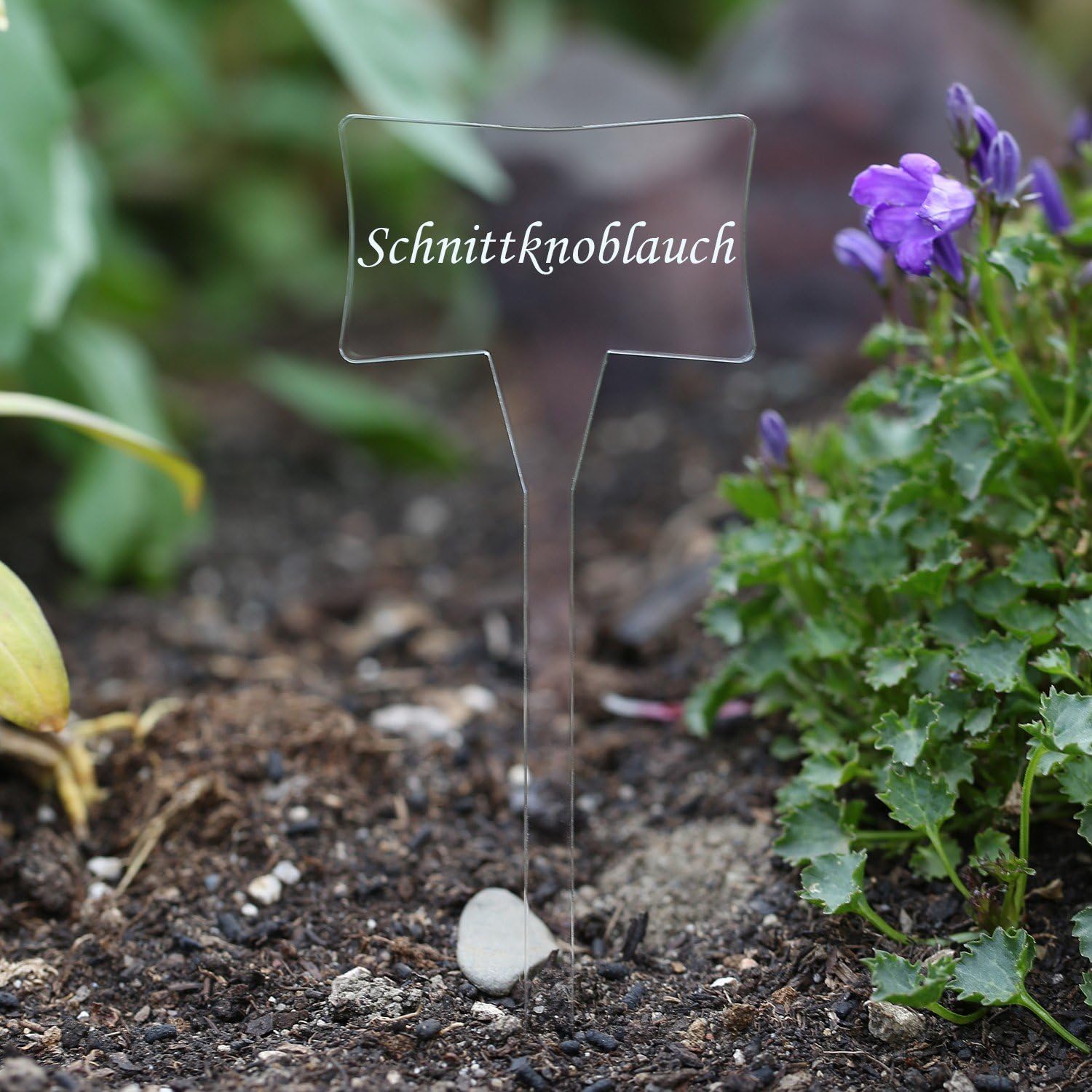 Acrílico cristal – Etiquetas para plantas (Esclavo transparente ...