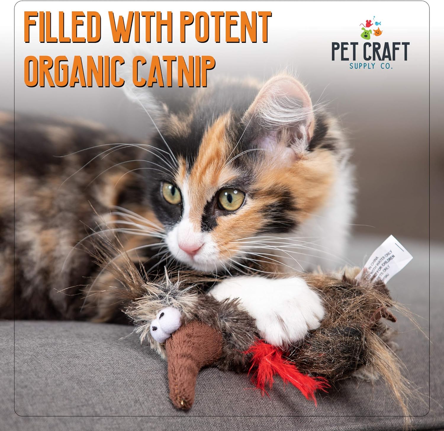 Pet Craft Supply Co. Funky Pheasant Crazy Catnip Cuddler Funny Cuddling Chasing Hunting Irresistible Stimulating Soft Plush Boredom Relief Interactive Cat Toy with Realistic Feathers : Pet Supplies