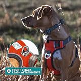 Embark Pets No-Pull Dog Harness Front & Back Leash Clips Adjustable Paw view 9