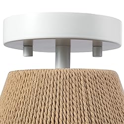 Globe Electric 65894 1-Light Flush Mount Ceiling