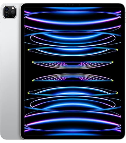 iPad Pro 11inch 512GB Wi-Fi&Cellularモデル 11インチiPad Pro Wi-Fi + Cellularモデル 512GB（標準ガラス