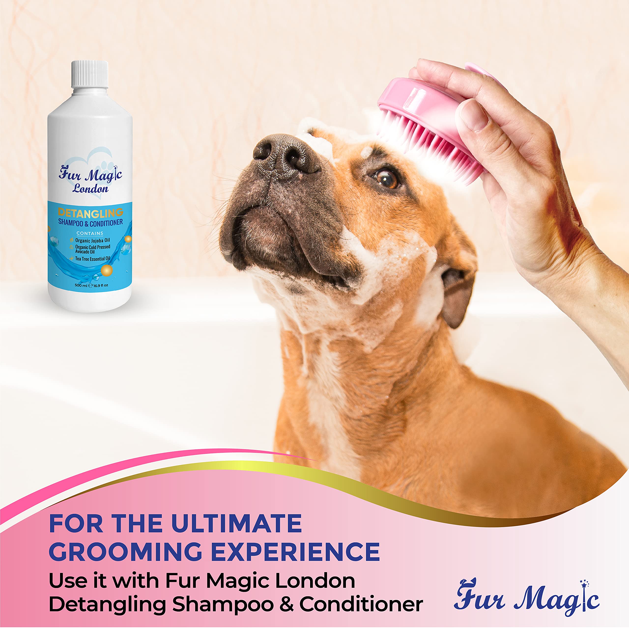 View 5